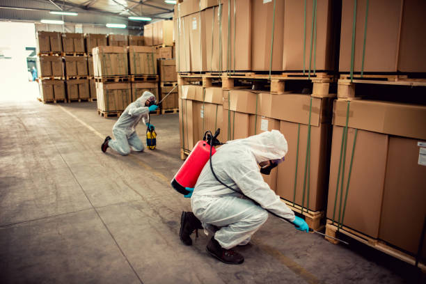 Best Residential Pest Control  in Louisburg, KS