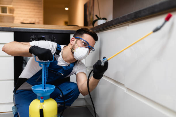 Best Pest Control Cost  in Louisburg, KS