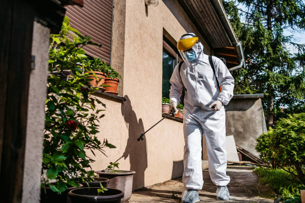 Wasp Removal Services in Louisburg, KS