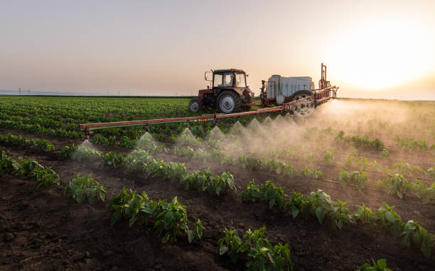 Best Mosquito Control Services  in Louisburg, KS