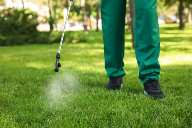 Best Emergency Pest Control  in Louisburg, KS