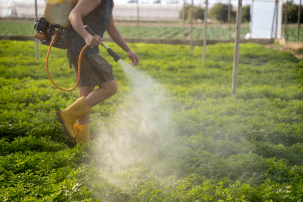 Best Residential Pest Control  in Louisburg, KS