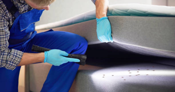 Best Wasp Removal Services  in Louisburg, KS