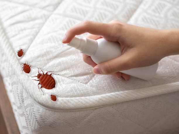 Best Exterminator Services  in Louisburg, KS