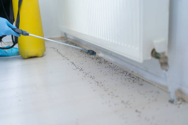 Best Best Pest Control Companies  in Louisburg, KS