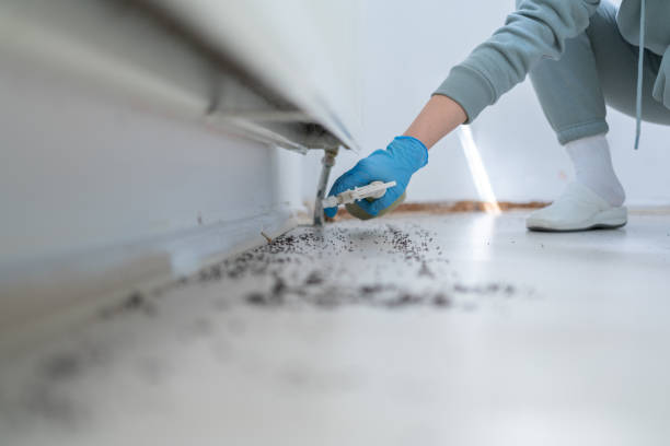 Best Pest Control Near Me  in Louisburg, KS